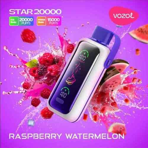 vapegonow.com The History of ZYN Nicotine Pouches